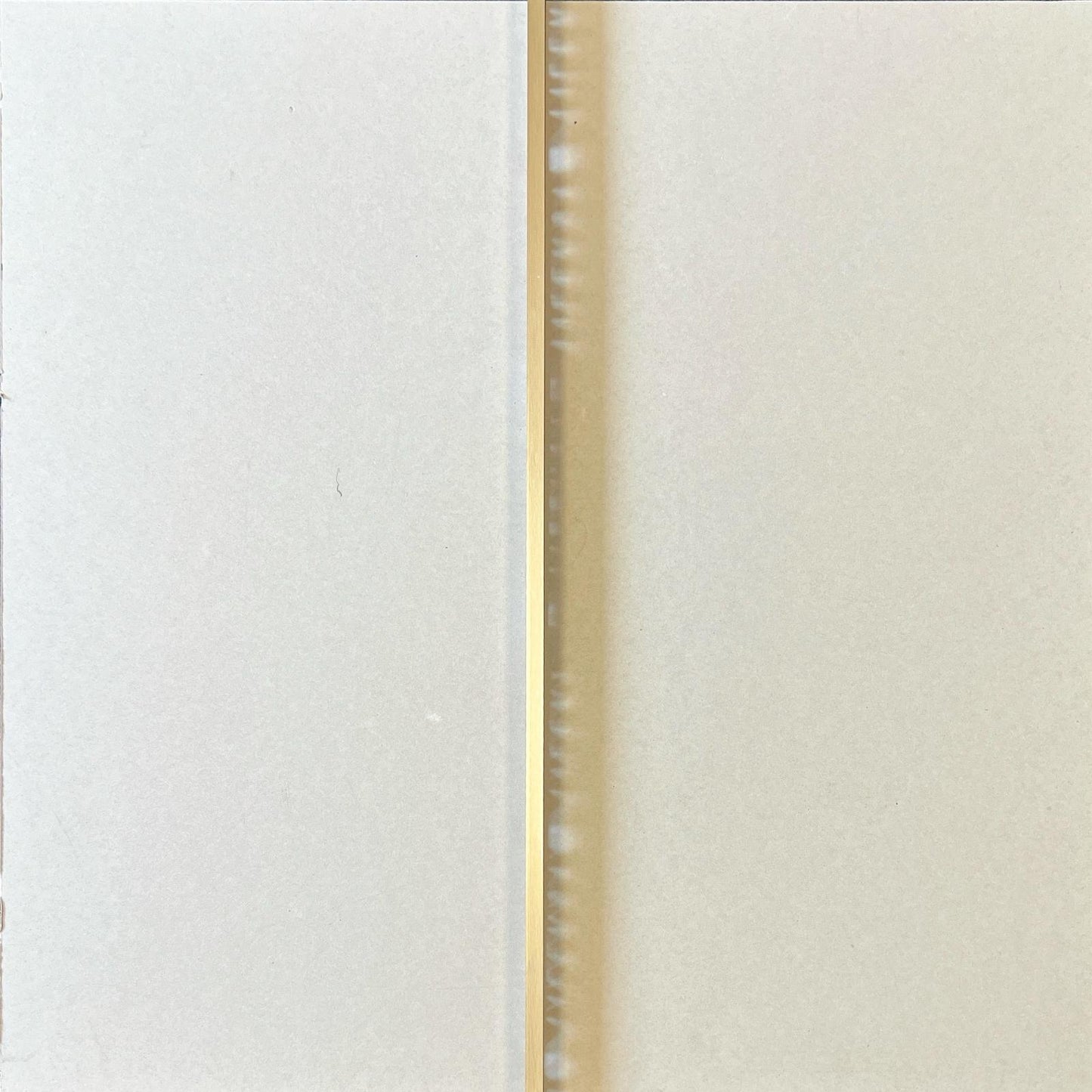 10MM x 2.44M Matt Gold Square Edge Trim